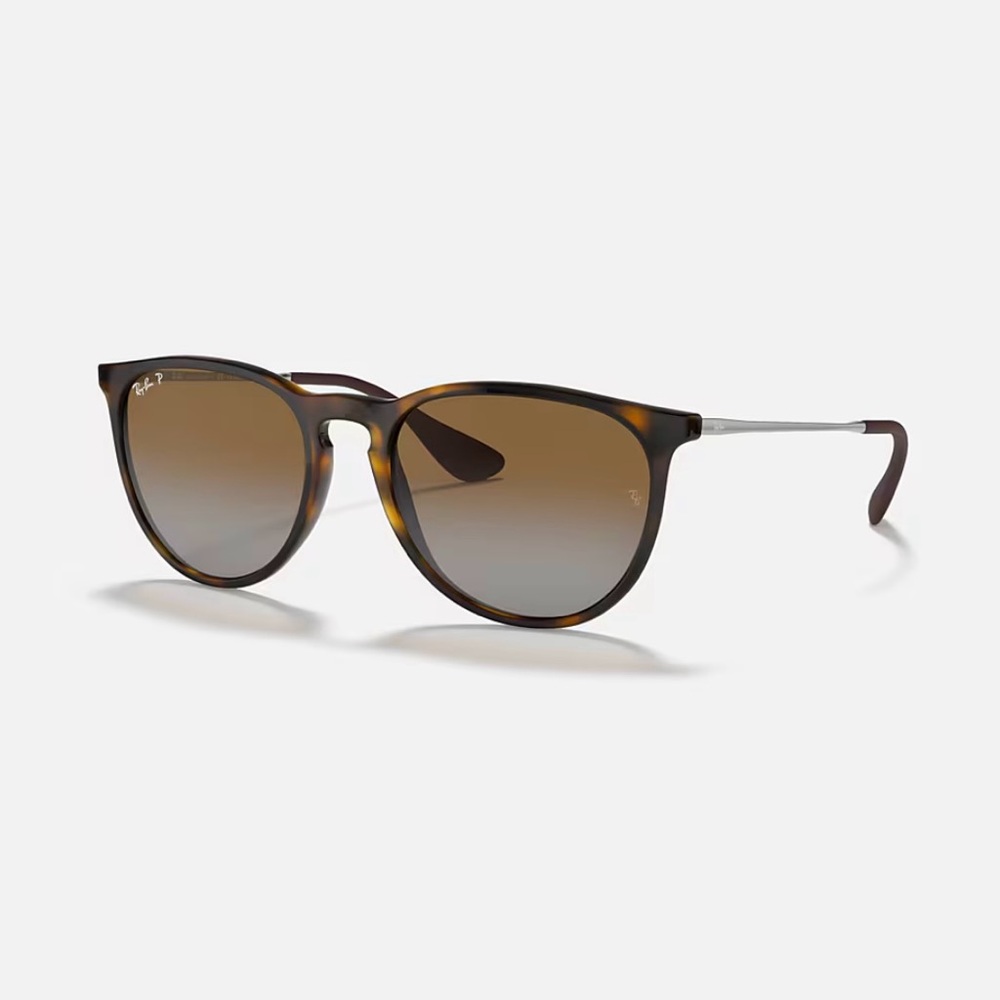 Ray-Ban Erika Classic Sunglasses